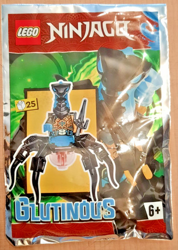 Lego ninjago polybag - ninjago, 892287